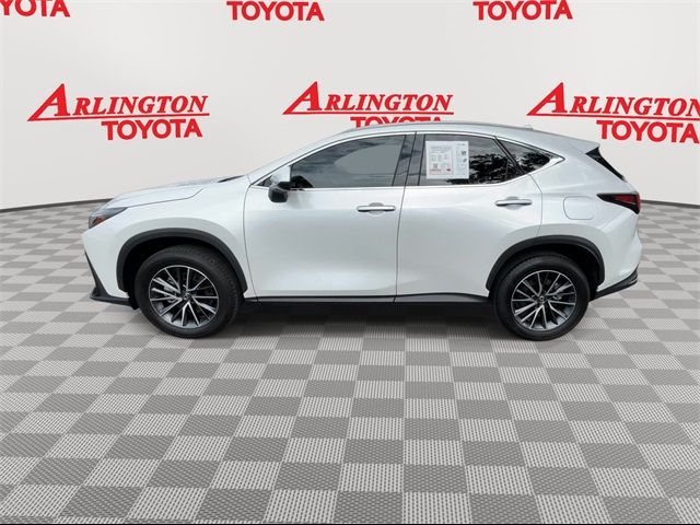 2025 Lexus NX 250 Premium