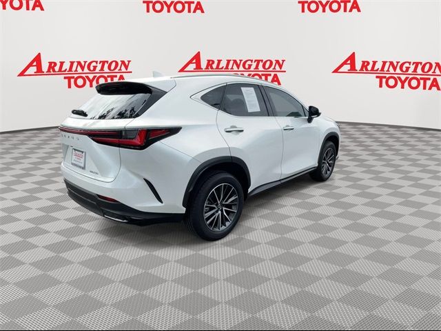 2025 Lexus NX 250 Premium