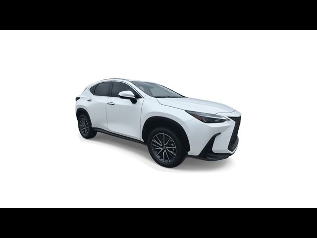 2025 Lexus NX 250 Premium