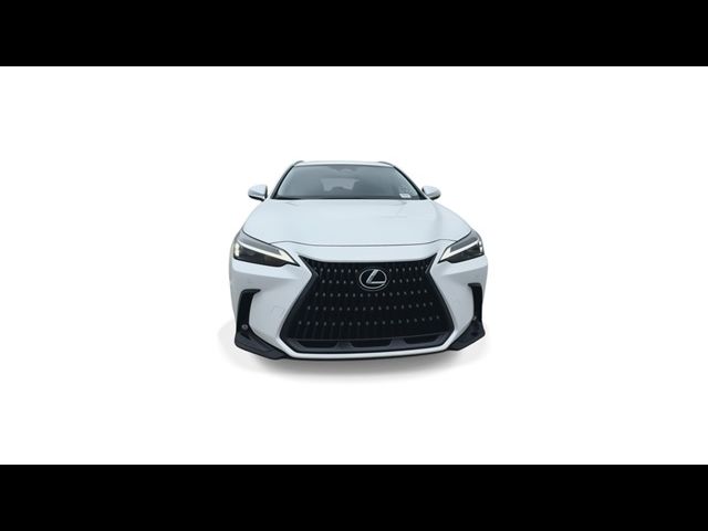 2025 Lexus NX 250 Premium