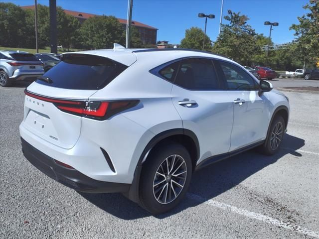 2025 Lexus NX 250 Premium