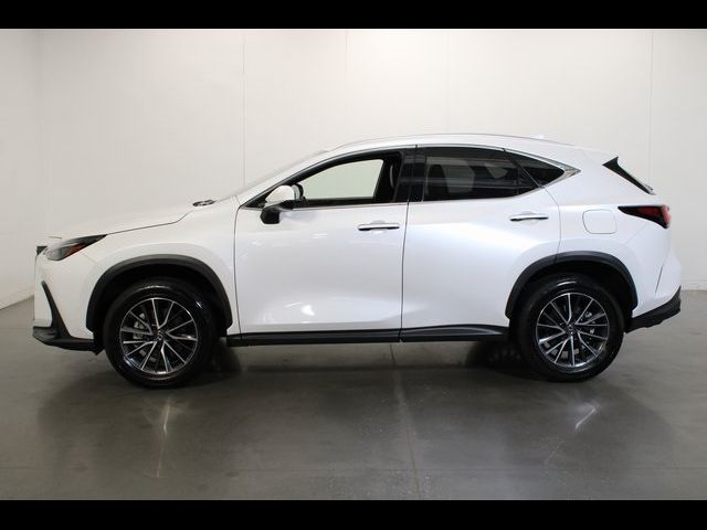 2025 Lexus NX 250 Premium