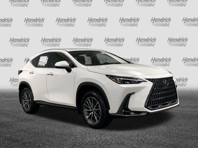 2025 Lexus NX 250 Premium