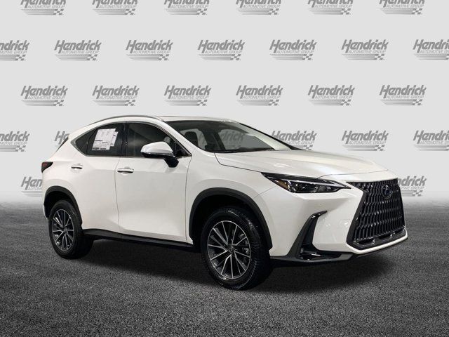 2025 Lexus NX 250 Premium