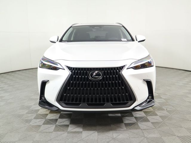 2025 Lexus NX 250 Premium