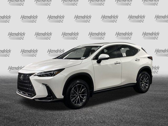 2025 Lexus NX 250 Premium