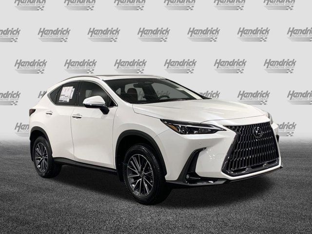 2025 Lexus NX 250 Premium