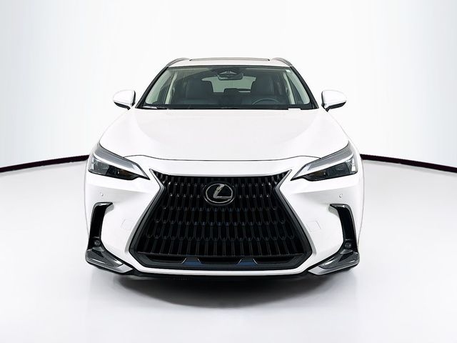 2025 Lexus NX 250 Premium