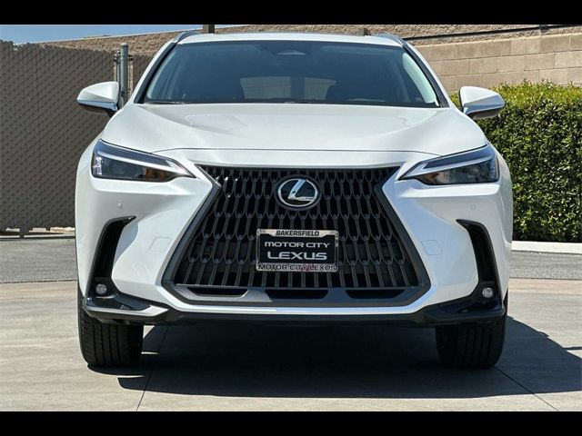 2025 Lexus NX 250