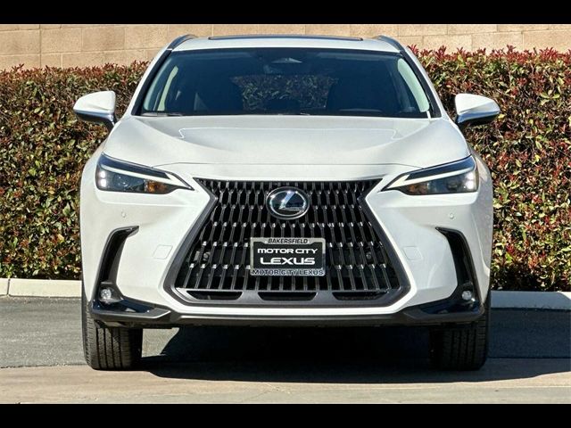 2025 Lexus NX 250