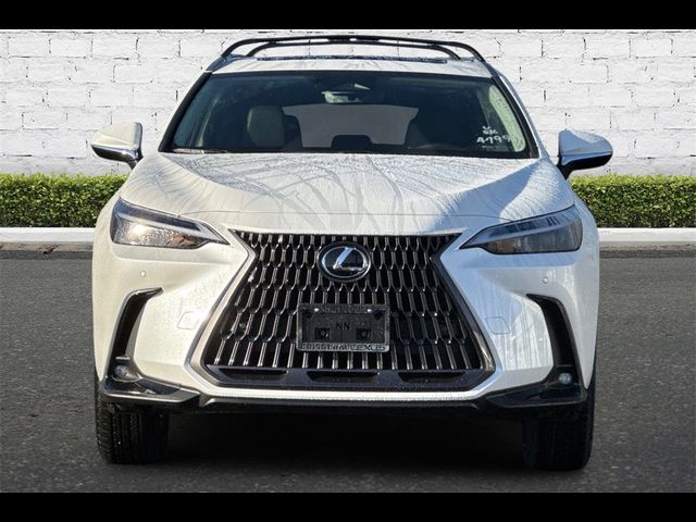 2025 Lexus NX 250