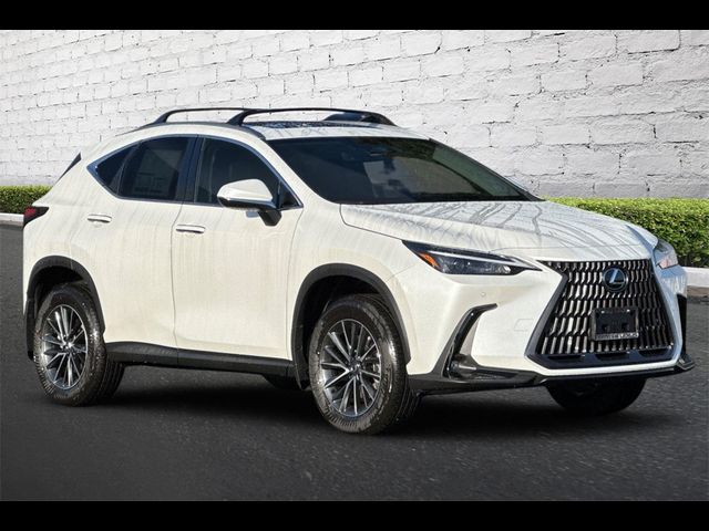 2025 Lexus NX 250