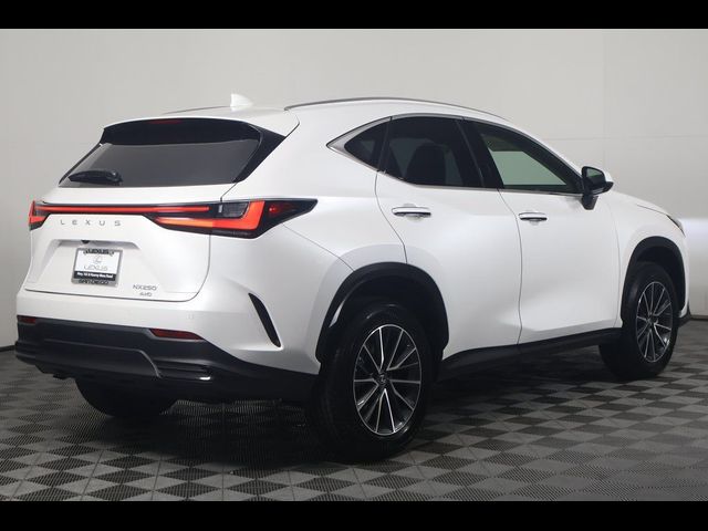 2025 Lexus NX 250