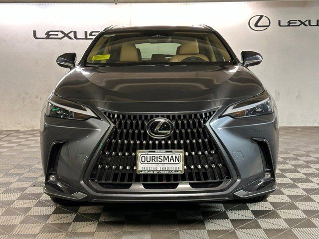 2025 Lexus NX 250 Premium