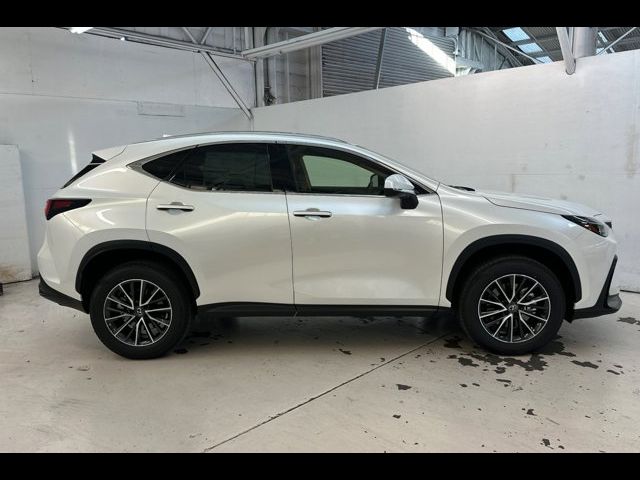 2025 Lexus NX 250