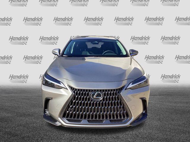 2025 Lexus NX 350