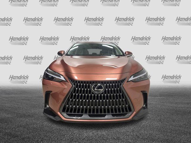 2025 Lexus NX 350