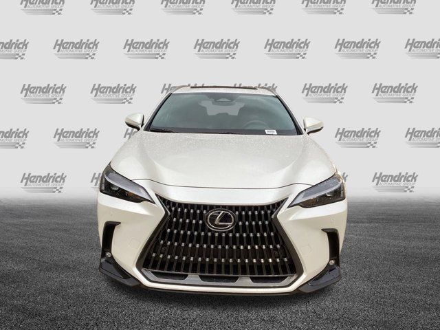 2025 Lexus NX 350