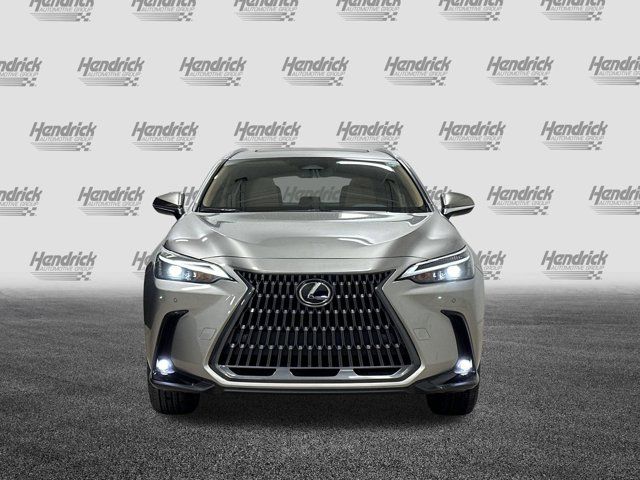 2025 Lexus NX 350