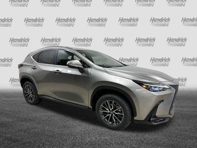 2025 Lexus NX 350