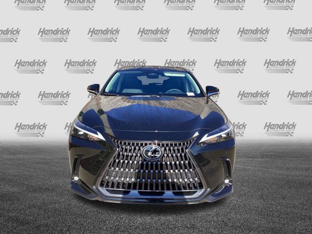 2025 Lexus NX 350