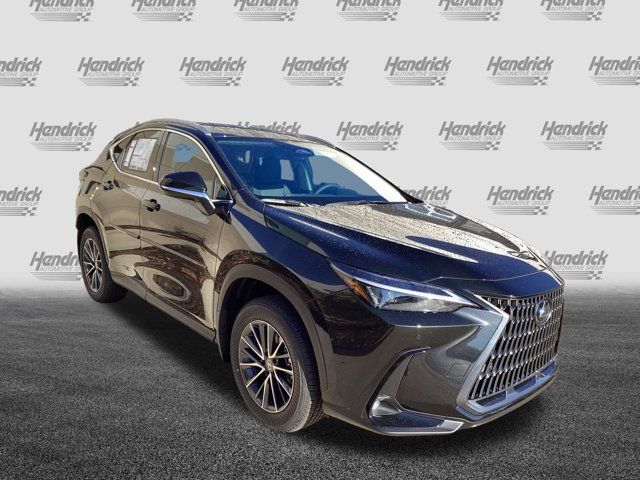 2025 Lexus NX 350