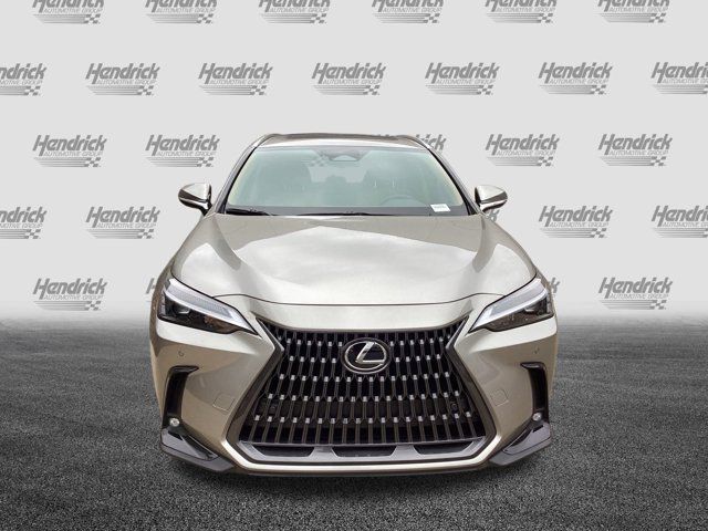 2025 Lexus NX 350