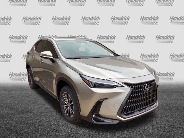 2025 Lexus NX 350