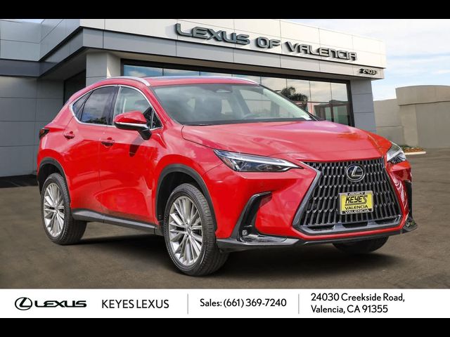 2025 Lexus NX 350h Premium