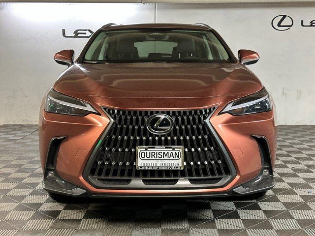 2025 Lexus NX 350