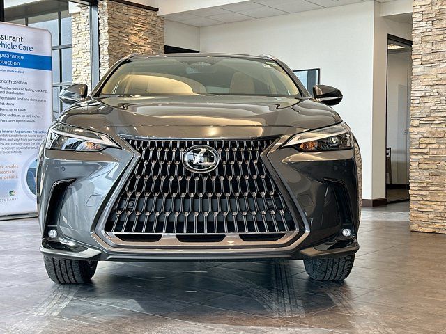 2025 Lexus NX 350