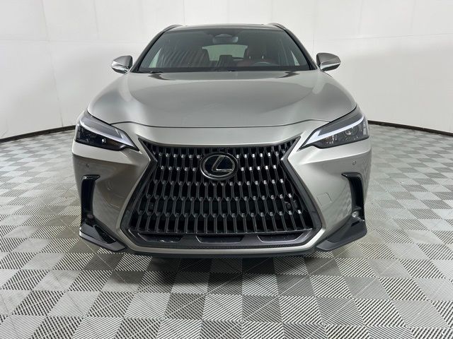 2025 Lexus NX 350