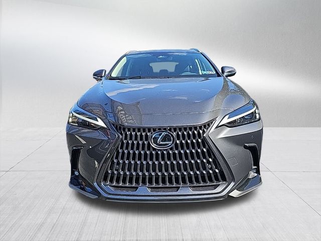 2025 Lexus NX 350