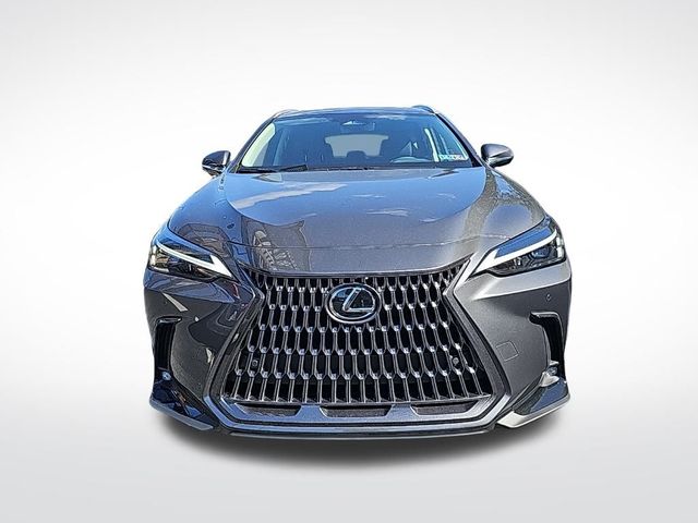 2025 Lexus NX 350