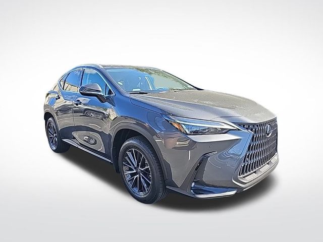 2025 Lexus NX 350