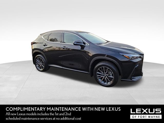 2025 Lexus NX 350