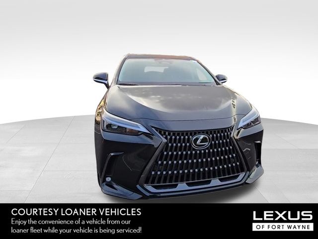 2025 Lexus NX 350