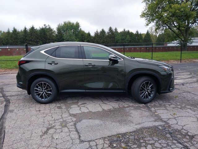 2025 Lexus NX 350