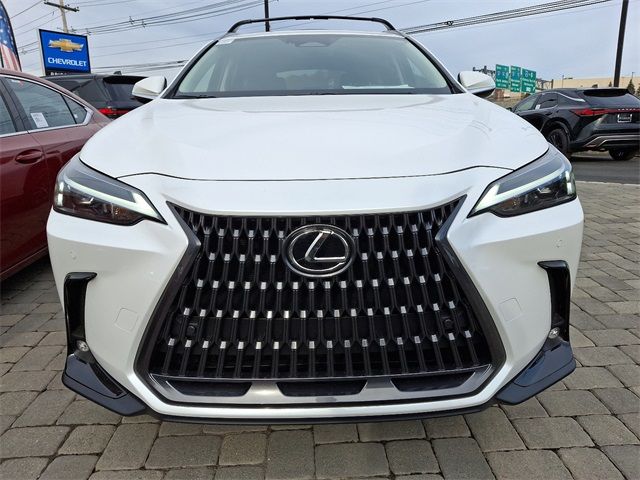 2025 Lexus NX 350