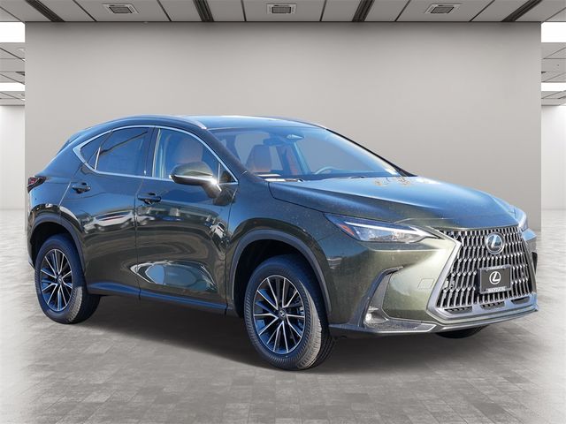 2025 Lexus NX 350