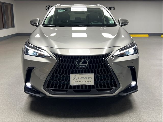 2025 Lexus NX 350