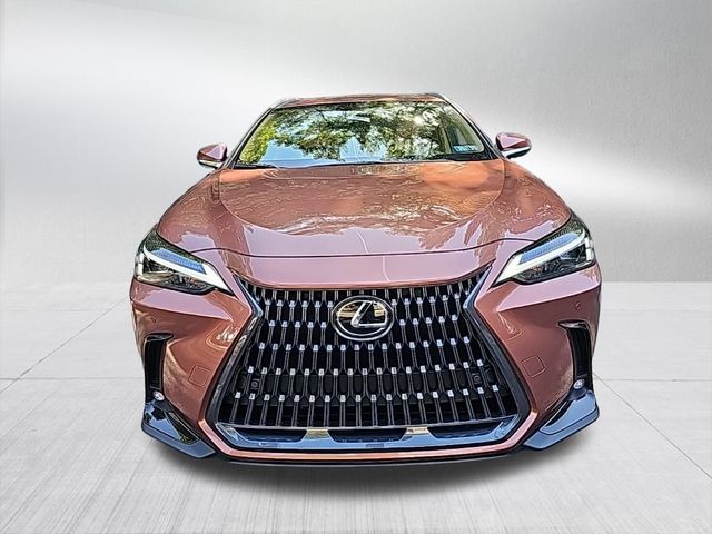 2025 Lexus NX 350