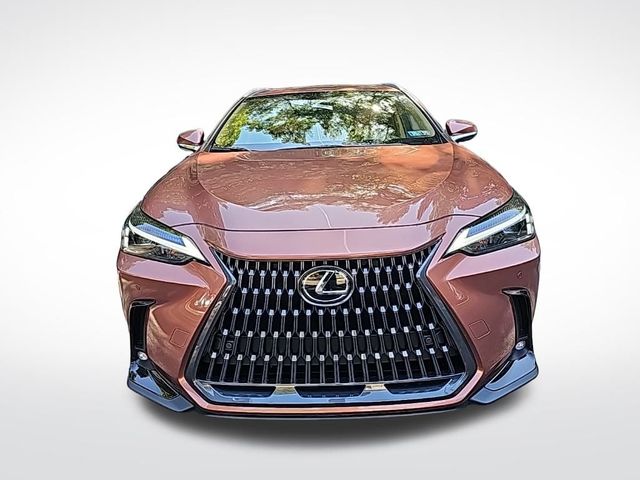 2025 Lexus NX 350