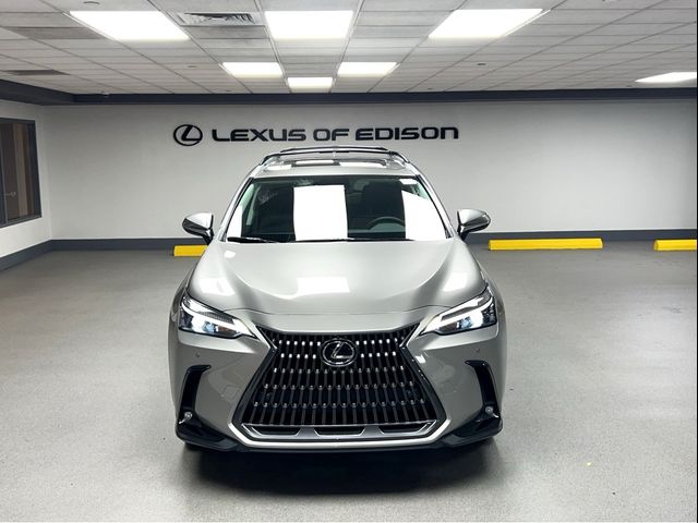 2025 Lexus NX 350