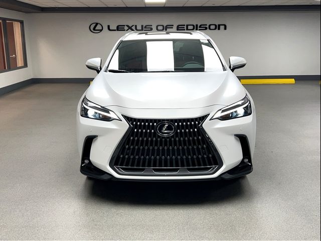 2025 Lexus NX 350