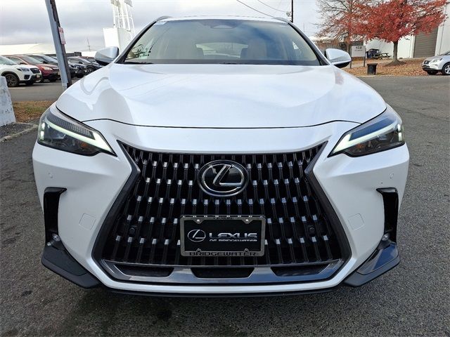 2025 Lexus NX 350