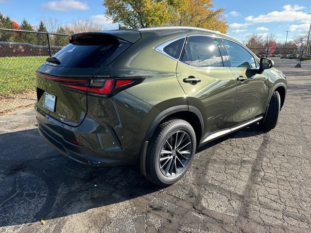 2025 Lexus NX 350