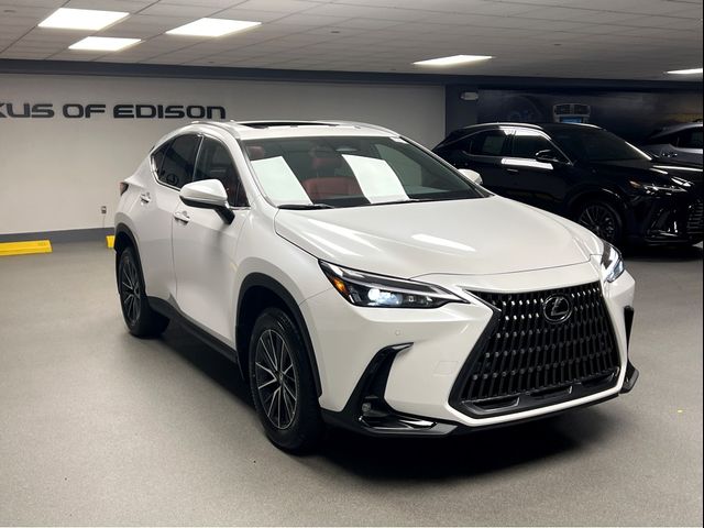 2025 Lexus NX 350