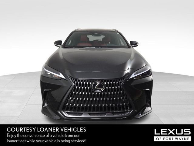 2025 Lexus NX 350