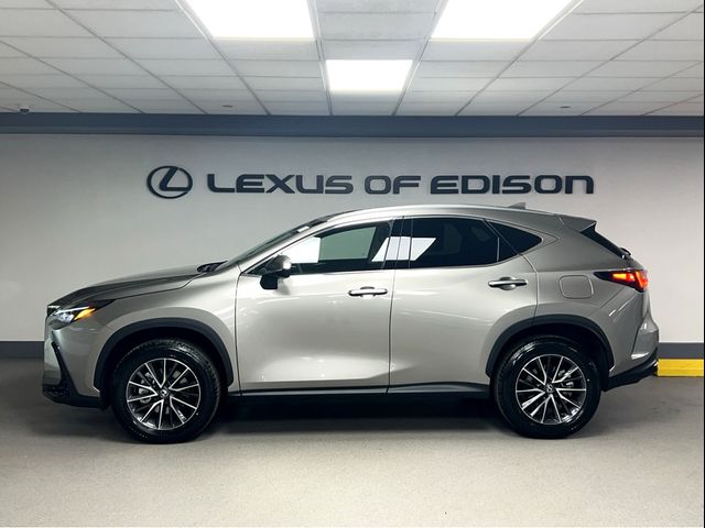 2025 Lexus NX 350